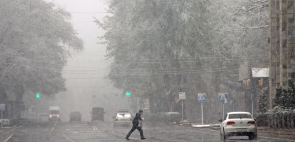 吉尔吉斯斯坦首都遭强风袭击进入紧急状态