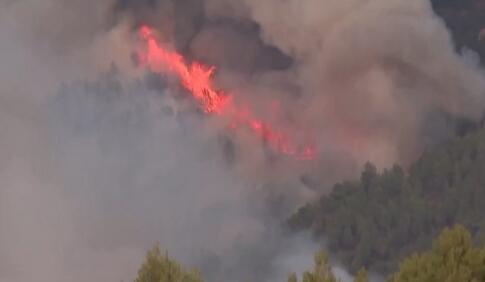西班牙阿利坎特省突发山火 180名居民被疏散