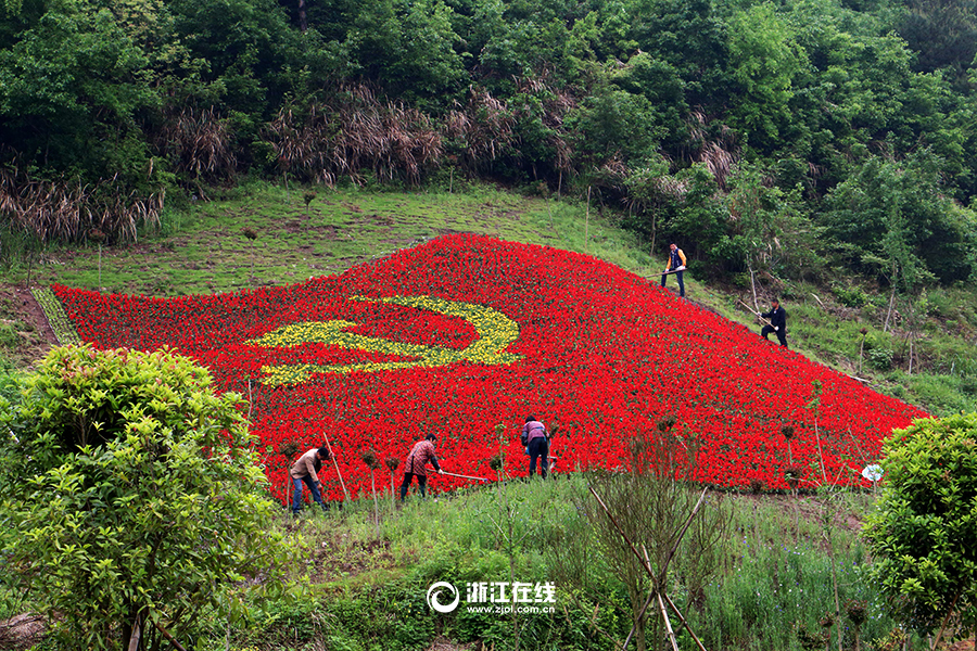 浦江四万鲜花扮党旗