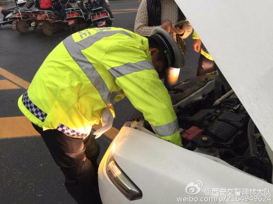 有爱！猫咪雨天钻进引擎盖 交警抱出领养