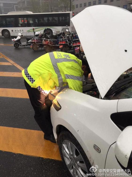 有爱！猫咪雨天钻进引擎盖 交警抱出领养