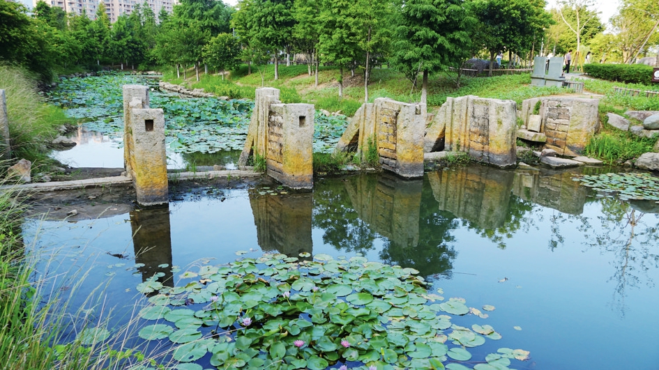 杨府山公园(鹿城区)  "一山一园,一水四洲"展现自然山水