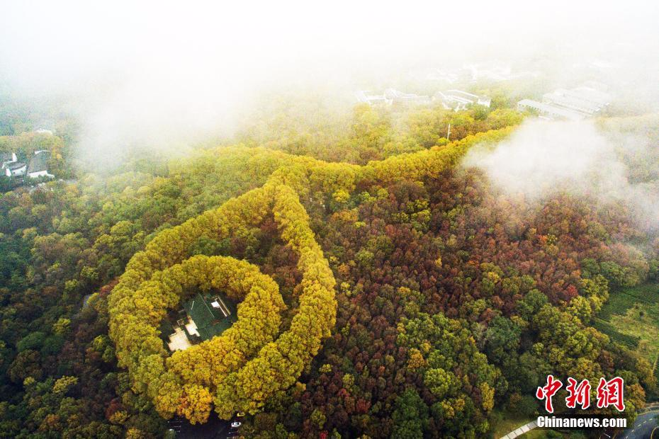 穿过云雾俯瞰南京紫金山"最美项链"