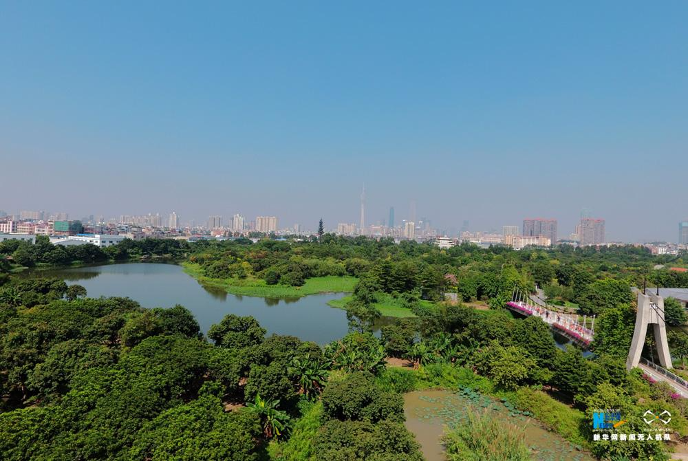 航拍广州"绿心"——海珠国家湿地公园