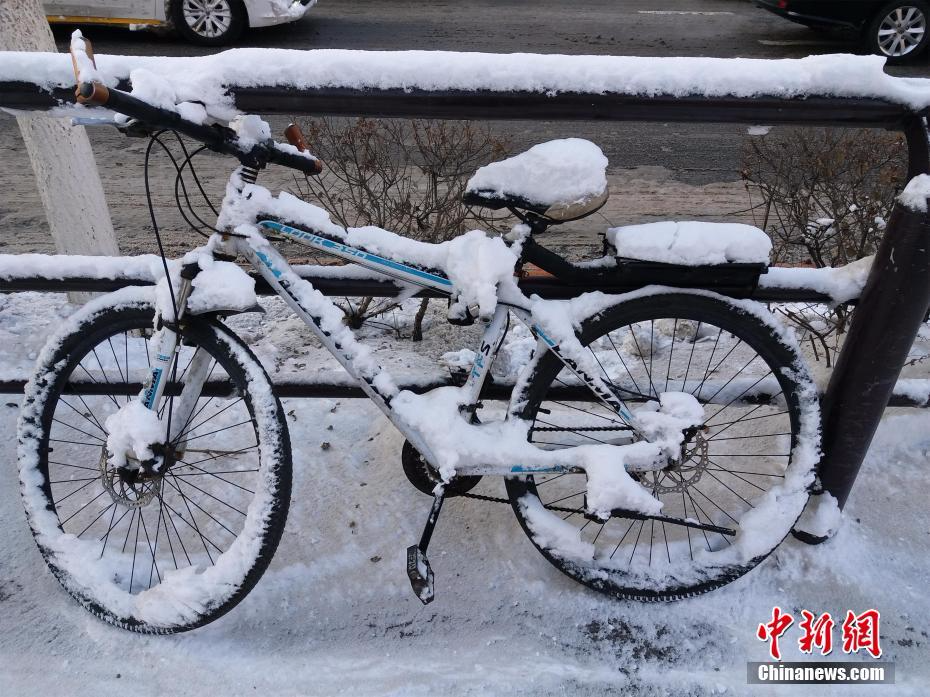 沈阳遭今冬最大强降雪 市民乐享雪趣