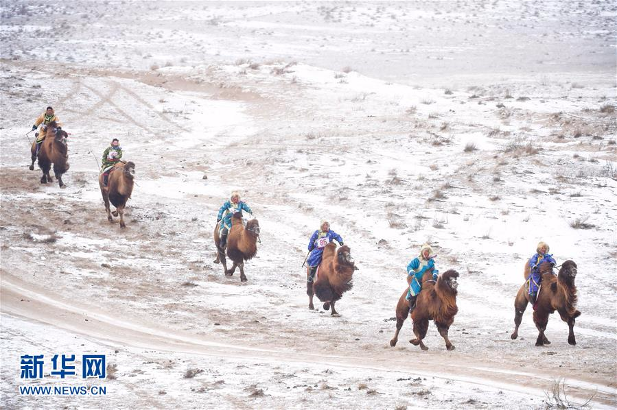 （体育）（3）雪域草原赛骆驼