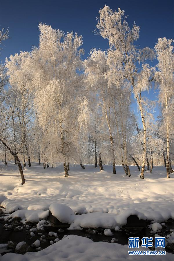 #（美丽中国）（2）阿勒泰雪后雾凇美