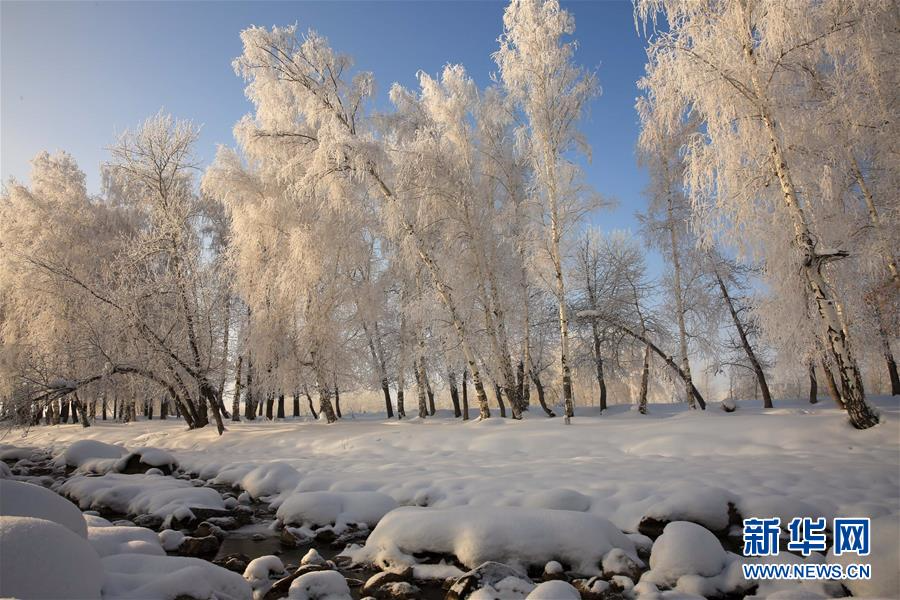 #（美丽中国）（3）阿勒泰雪后雾凇美