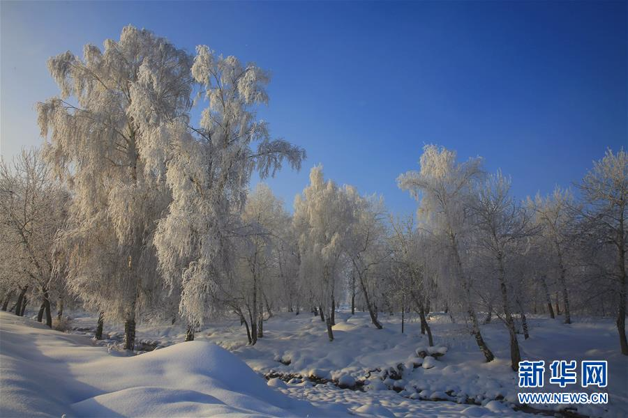 #（美丽中国）（4）阿勒泰雪后雾凇美