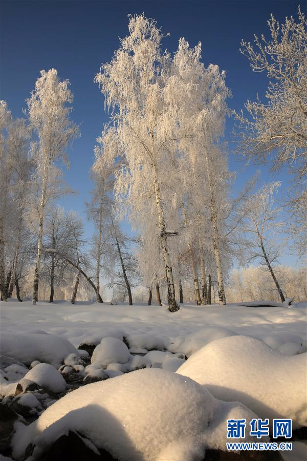 #（美丽中国）（5）阿勒泰雪后雾凇美