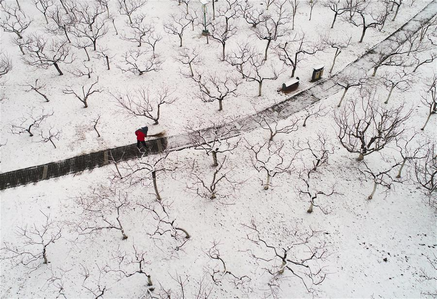 #（视·觉）（1）雪后桃花坞