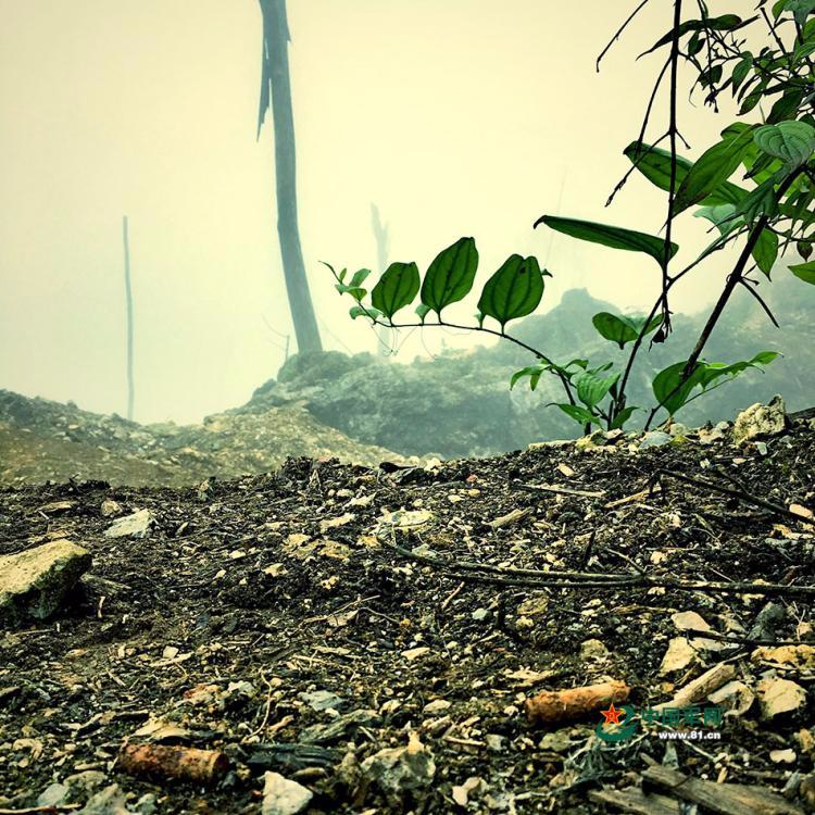 直击云南边境扫雷 地雷炮弹摆满地