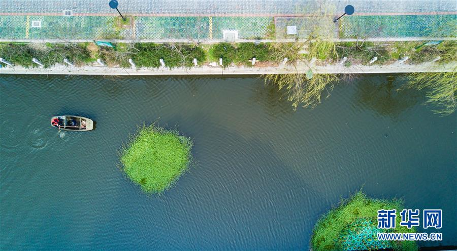 （环境）（3）浙江湖州：昔日“臭水沟”生态治理变身“景观河”