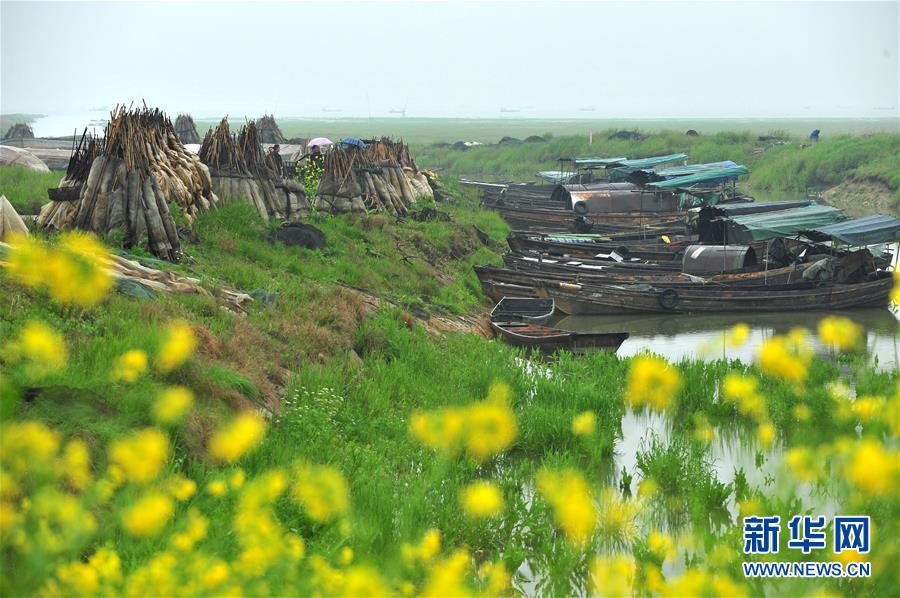 （环境）（4）中国最大淡水湖鄱阳湖即将进入禁渔期