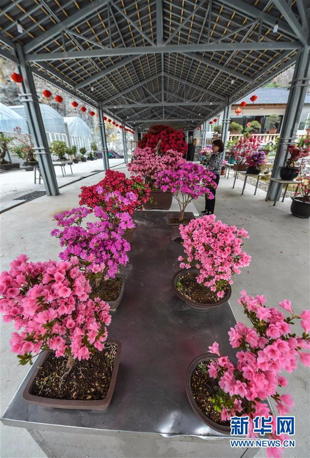 （经济）（2）浙江湖州：废弃矿山变身花卉产业园