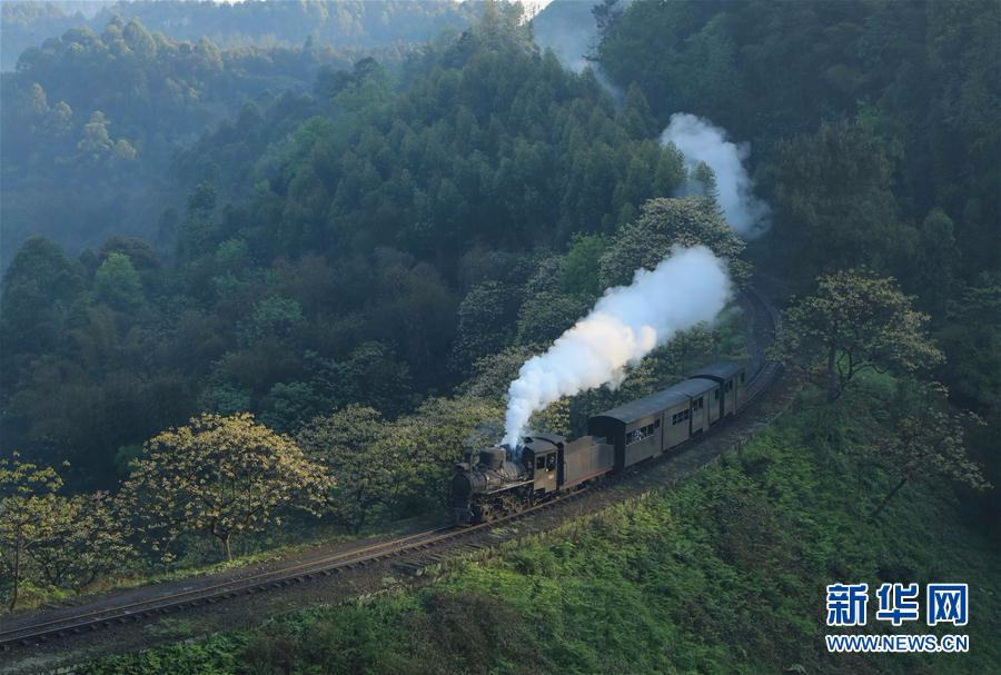 （美丽中国）（5）春天，小火车与桐子花有个约会