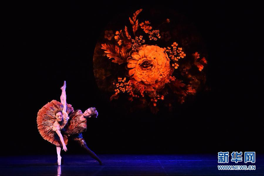 [9]（外代二线）芭蕾舞剧《胡桃夹子——克拉拉的故事》将在悉尼上演
