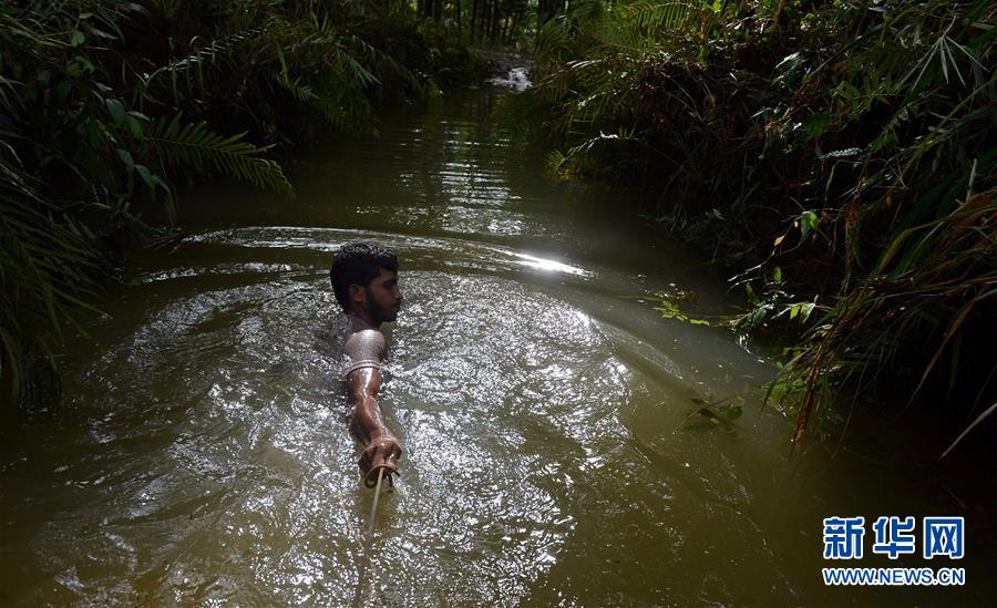 （外代一线）（4）斯里兰卡洪水和山体滑坡造成的死亡人数升至193人