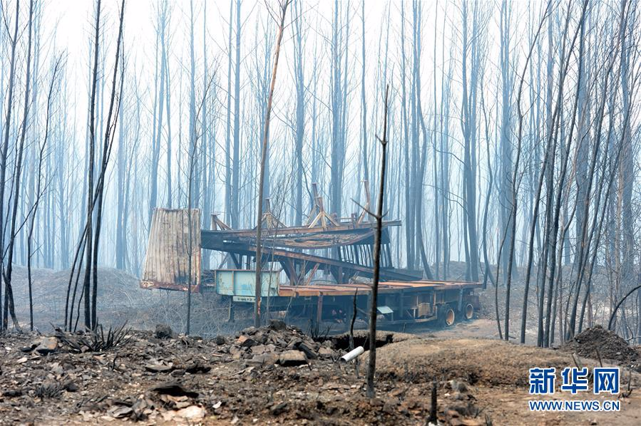 （国际）（17）葡森林火灾死亡人数升至64人