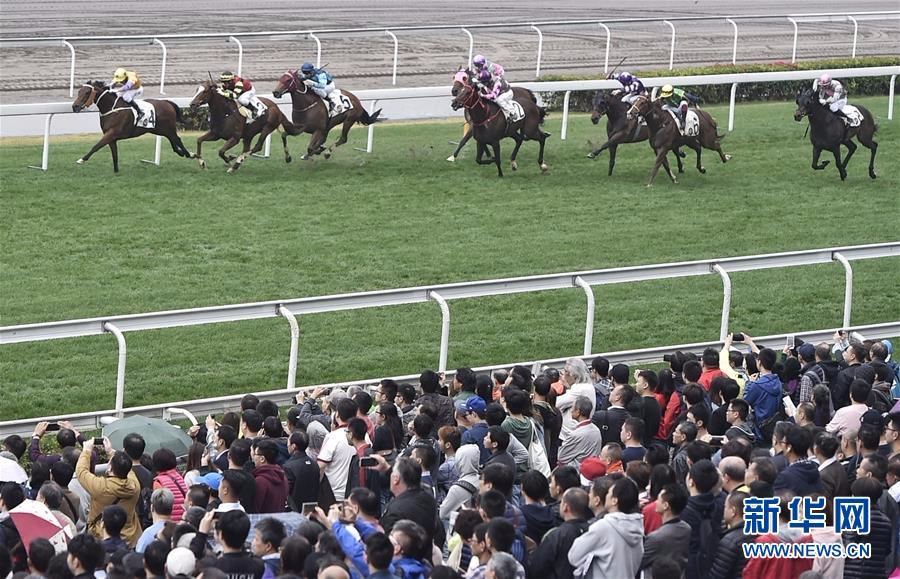 （新华全媒头条·香港回归二十周年·图文互动）（8）与祖国同舟共济 为梦想风雨兼程——庆祝香港回归20周年