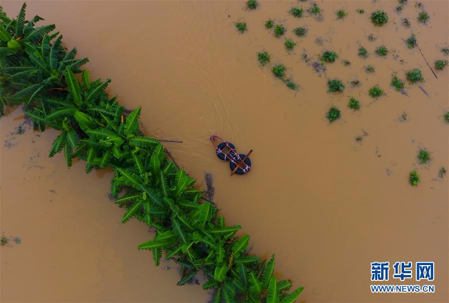 （抗洪救灾）（1）强降雨致广西约109万人受灾