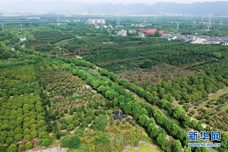 （砥砺奋进的五年·绿色发展 绿色生活）（9）浙江滕头村：“生态立村”走出可持续发展新路