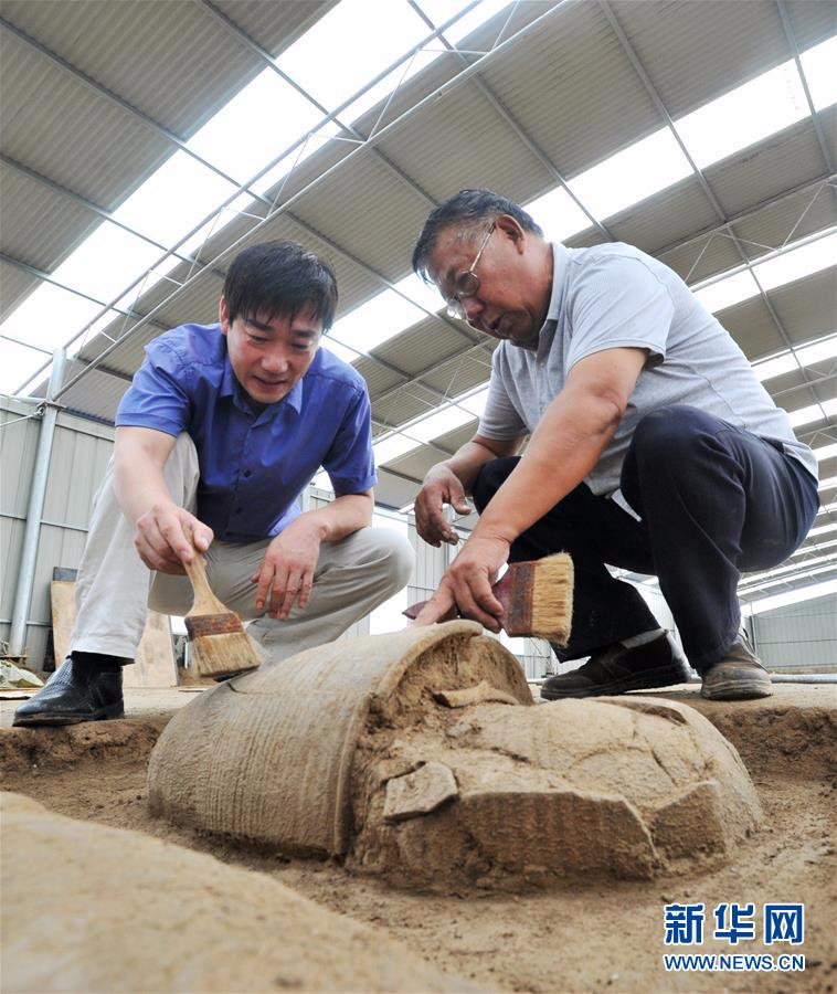 （文化）（2）河北黄骅启动战汉时期郛堤城瓮棺提取和修复工作