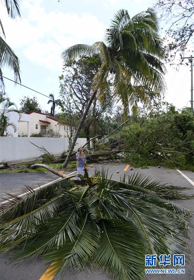 （国际）（8）飓风过后的迈阿密