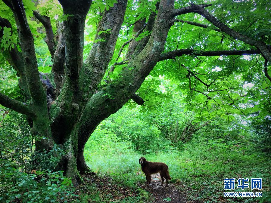 （国际）（12）玩转全球之遥远的风景