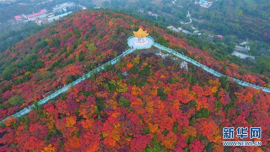 （美丽中国）（2）红叶“醉”金秋