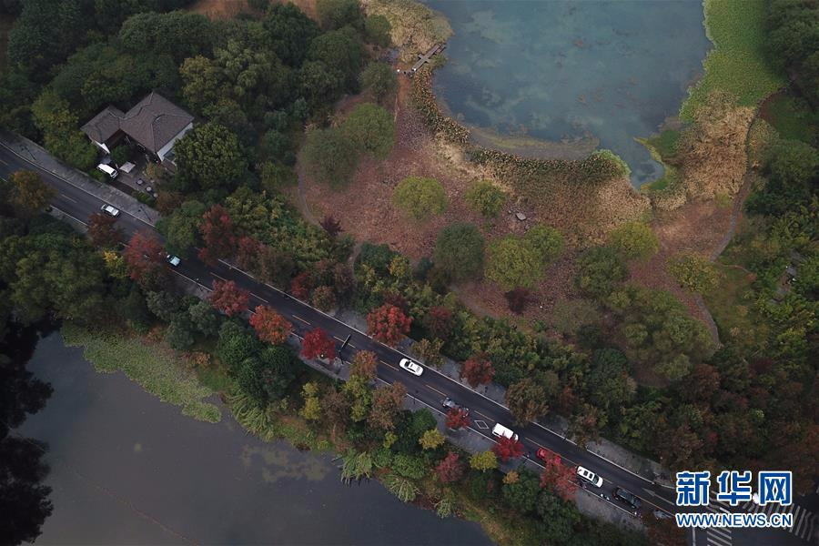 （秋季美丽生态）（1）杭州西湖：多彩的秋意