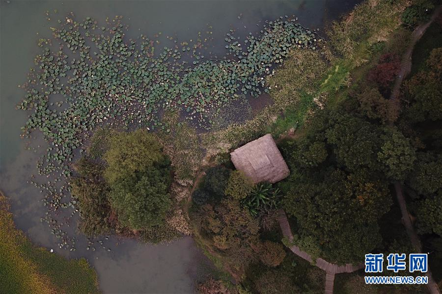 （秋季美丽生态）（5）杭州西湖：多彩的秋意