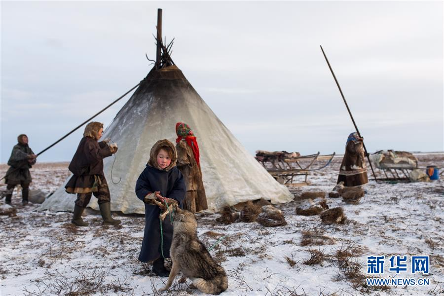 （国际）（1）涅涅茨人——“冰上丝路”沿线的驯鹿牧民