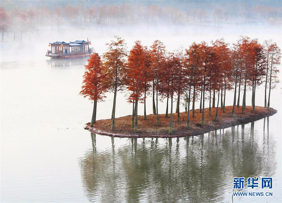 #（美丽中国）（3）水上森林画中游