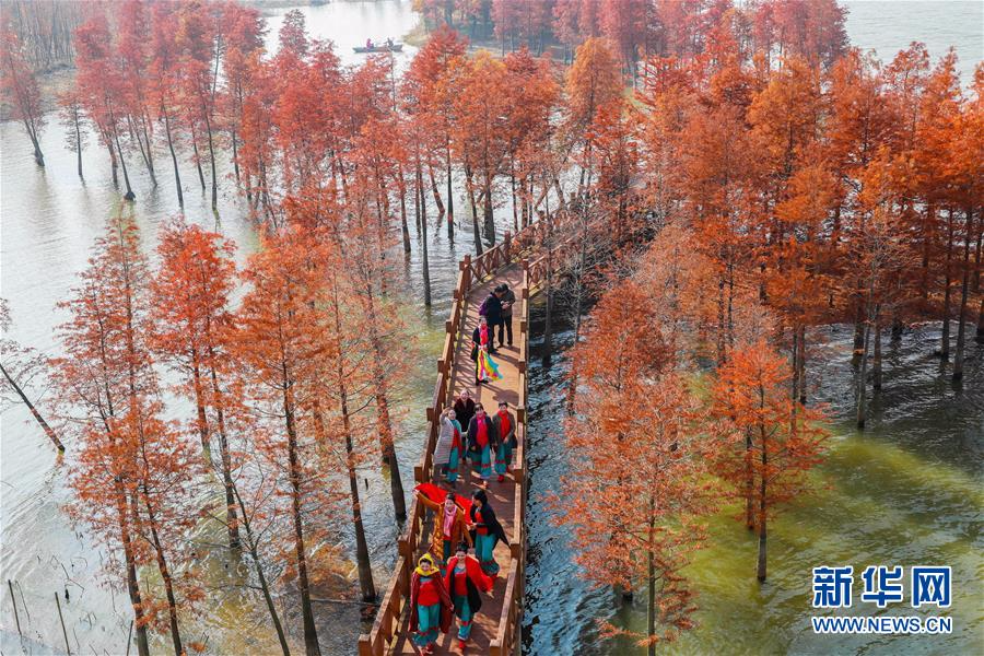 #（美丽中国）（4）水上森林画中游