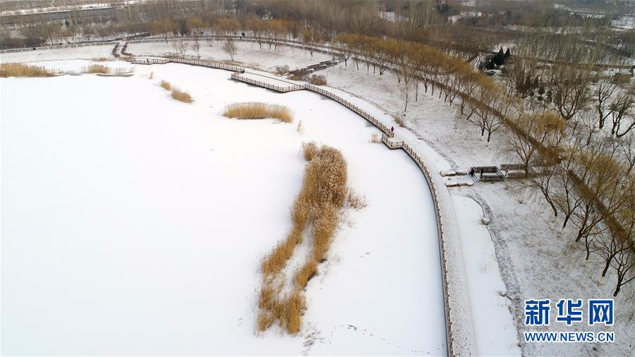 （环境）（2）雪降银川