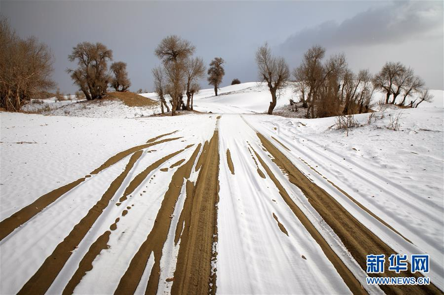 #（环境）（4）塔克拉玛干沙漠雪景如画