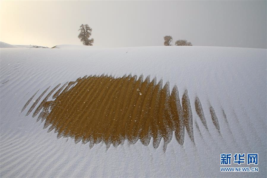 #（环境）（6）塔克拉玛干沙漠雪景如画