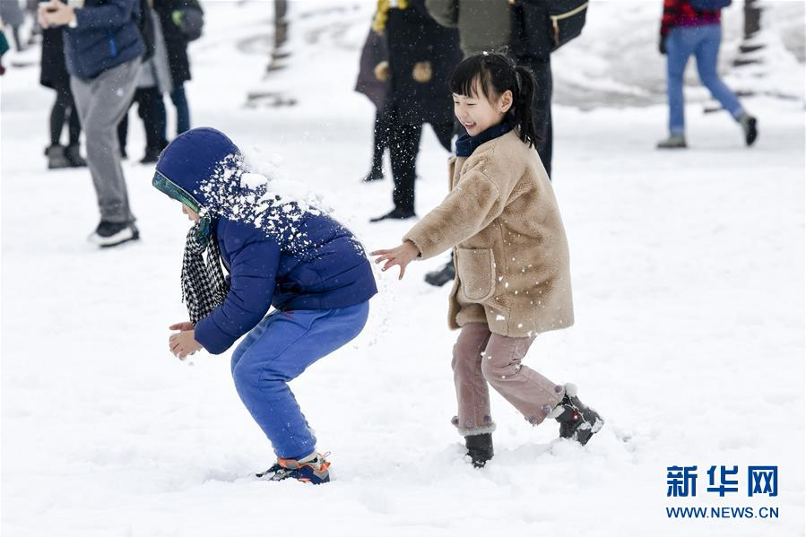 （国际）（4）雪后巴黎