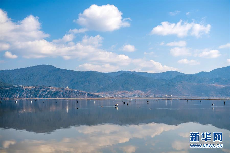 （环境）（5）鹤舞高原