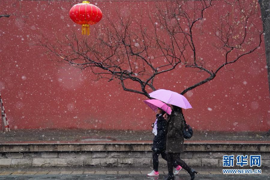 （环境）（4）北京迎来春雪