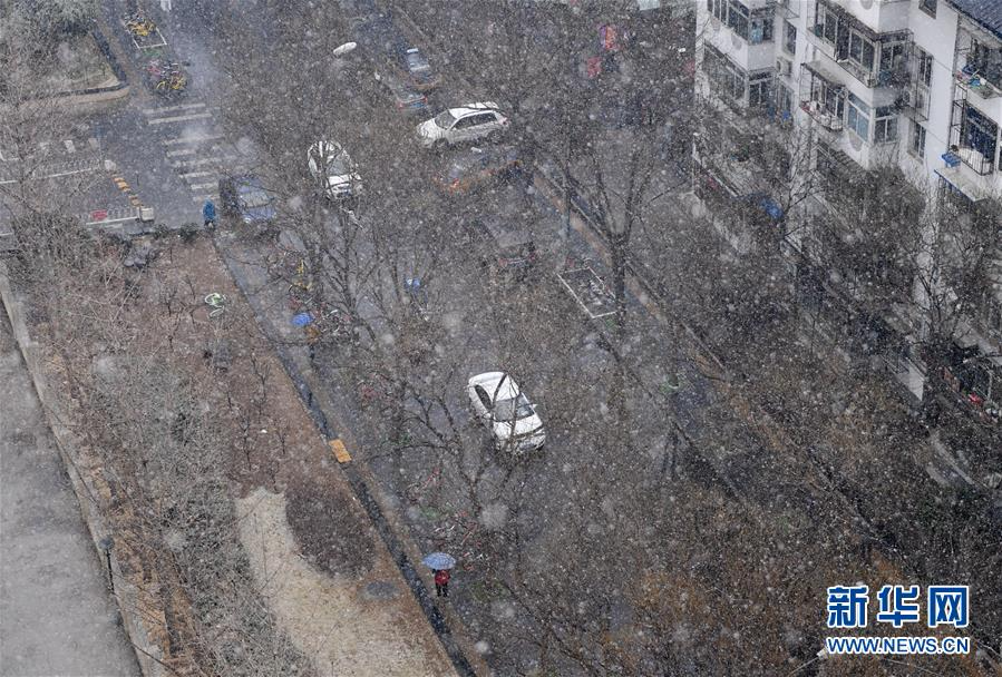 （环境）（6）北京迎来春雪