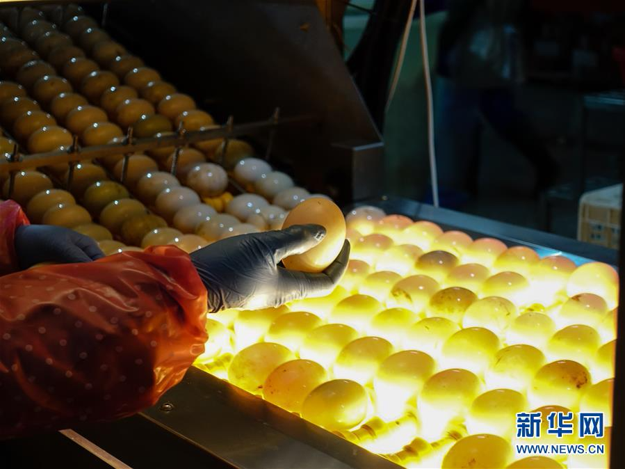 #（经济）（2）江苏高邮：小鸭蛋 大产业