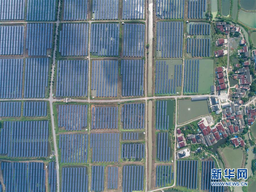 （经济）（1）浙江湖州：千亩鱼塘变身“绿色发电站”