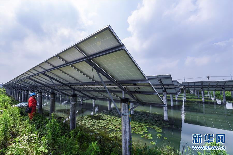 （经济）（2）浙江湖州：千亩鱼塘变身“绿色发电站”
