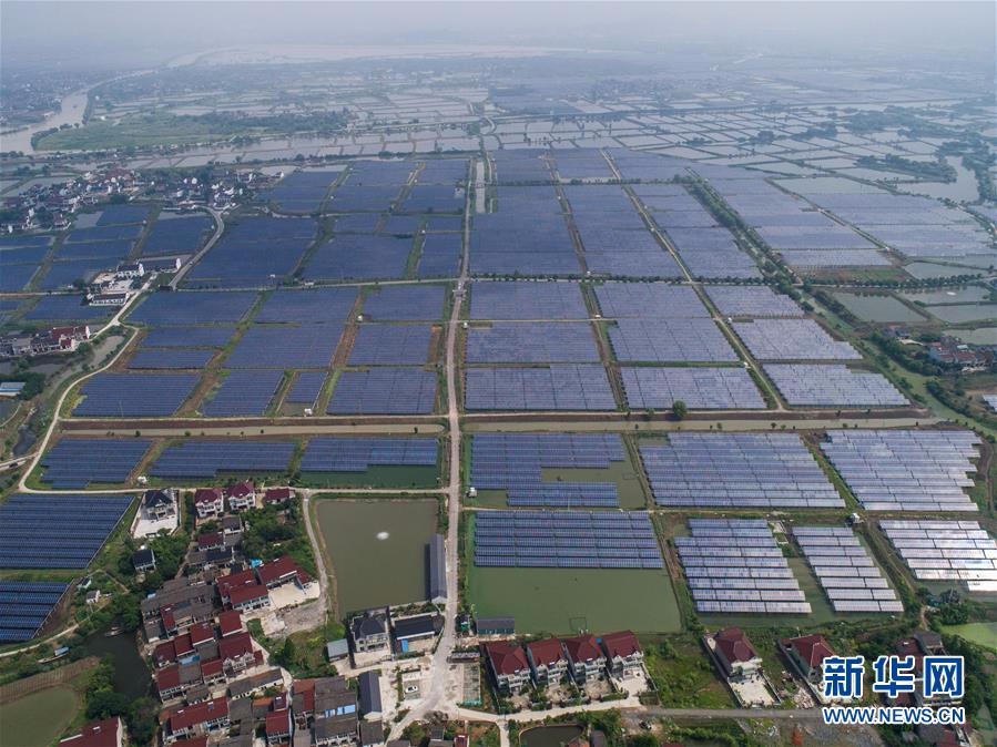 （经济）（3）浙江湖州：千亩鱼塘变身“绿色发电站”