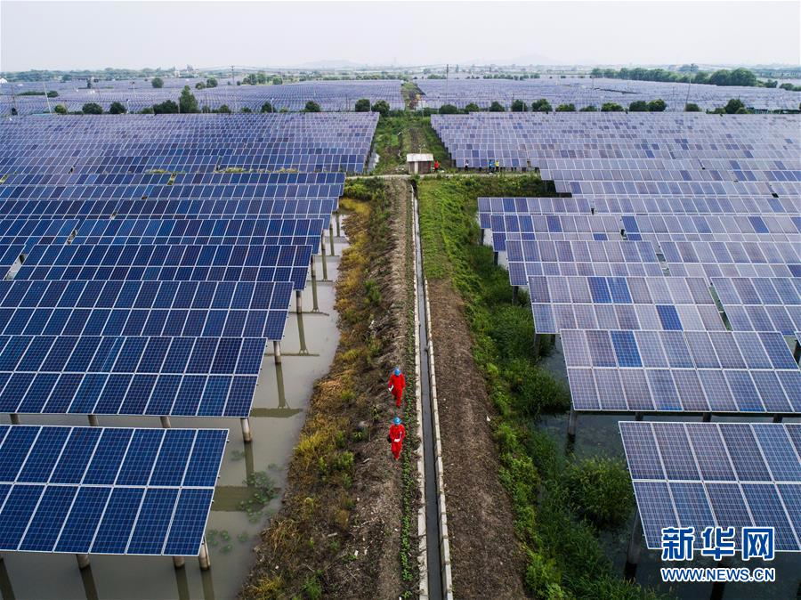 （经济）（5）浙江湖州：千亩鱼塘变身“绿色发电站”