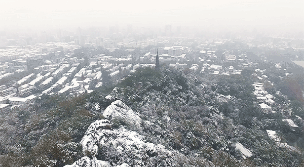 在杭州的初雪里翱翔
