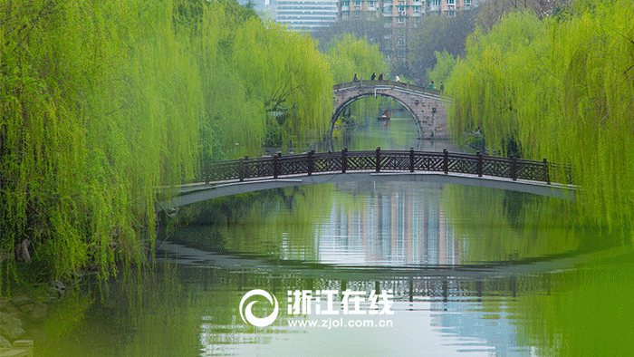 城市之美 天堂新景⑨:活的河,活了这座城 ( / ) 2016年05月13日 17:53
