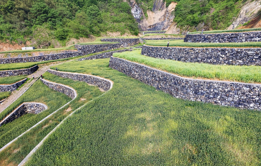 诸暨土地复垦 废矿变"农场"